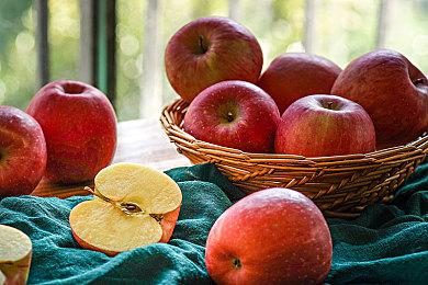 弹幕射击策略RPG《东方符卡嘉年华》Steam页面 发行日期待定